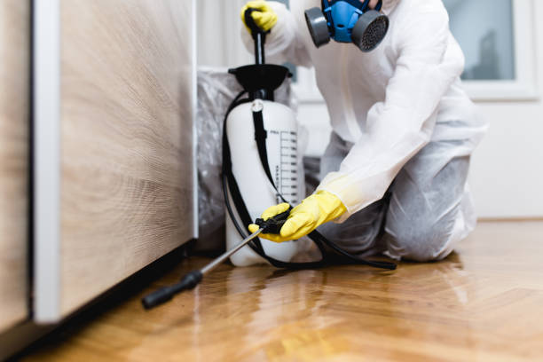 Best Best Pest Control Companies  in Riverside, MO