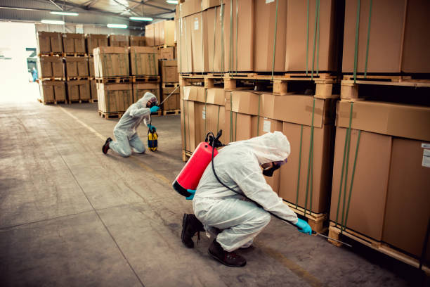 Best Termite Control Services  in Riverside, MO