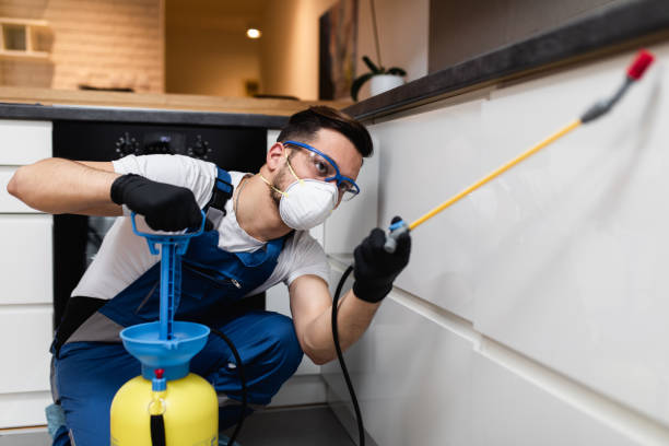 Best Rat Extermination Near Me  in Riverside, MO