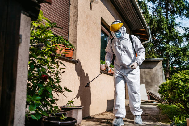 Best Bed Bug Extermination  in Riverside, MO