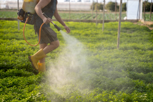 Best Pest Removal Services  in Riverside, MO