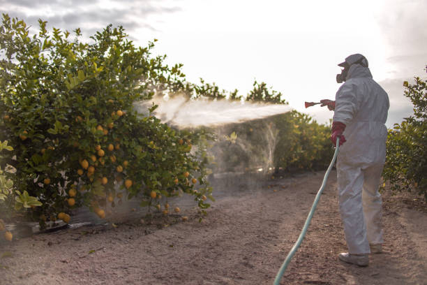Best Mosquito Control Services  in Riverside, MO