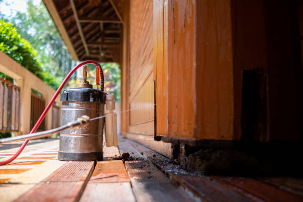 Best Best Pest Control Companies  in Riverside, MO