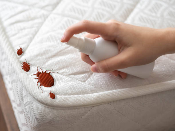 Pest Prevention Services in Riverside, MO
