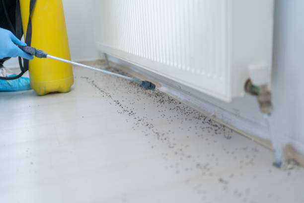 Best Pest Control for Homes  in Riverside, MO