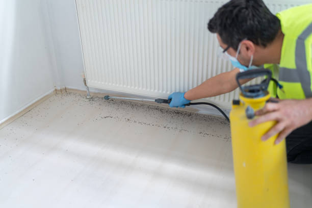 Professional Pest Control in Riverside, MO