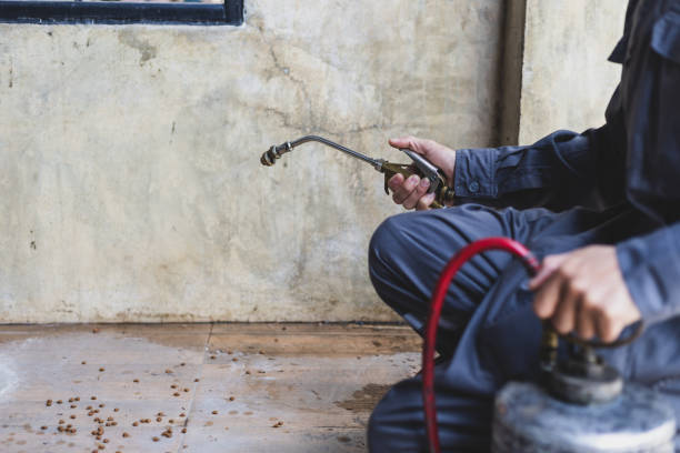 Best Exterminator Services  in Riverside, MO