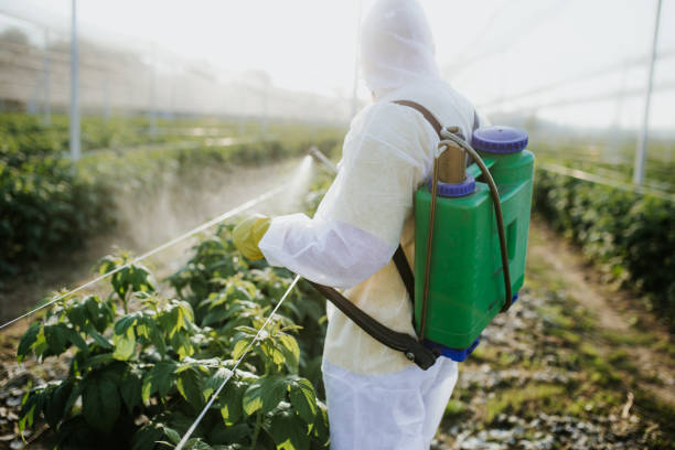 Best Pest Removal Services  in Riverside, MO